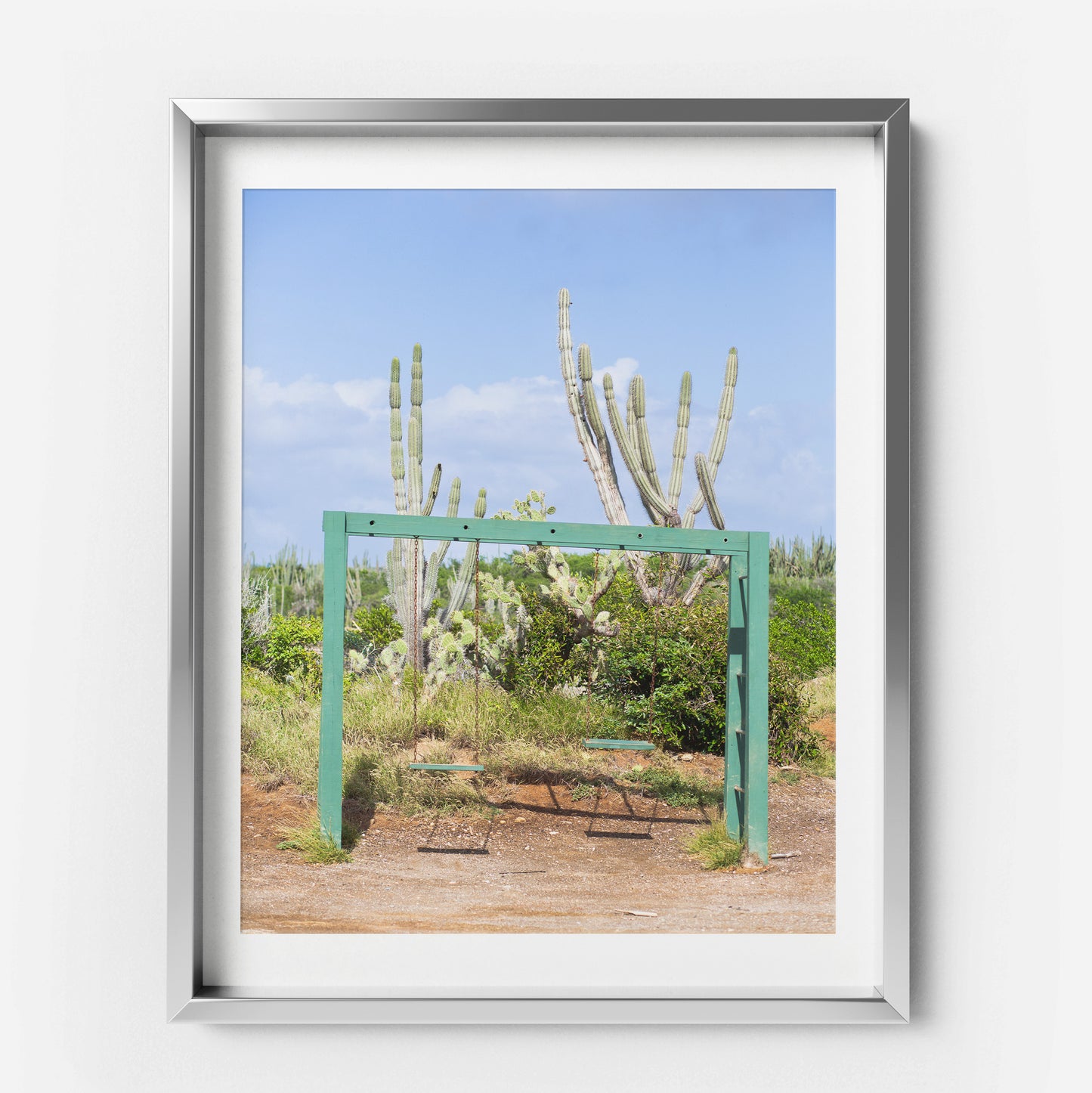 Cactus Swing